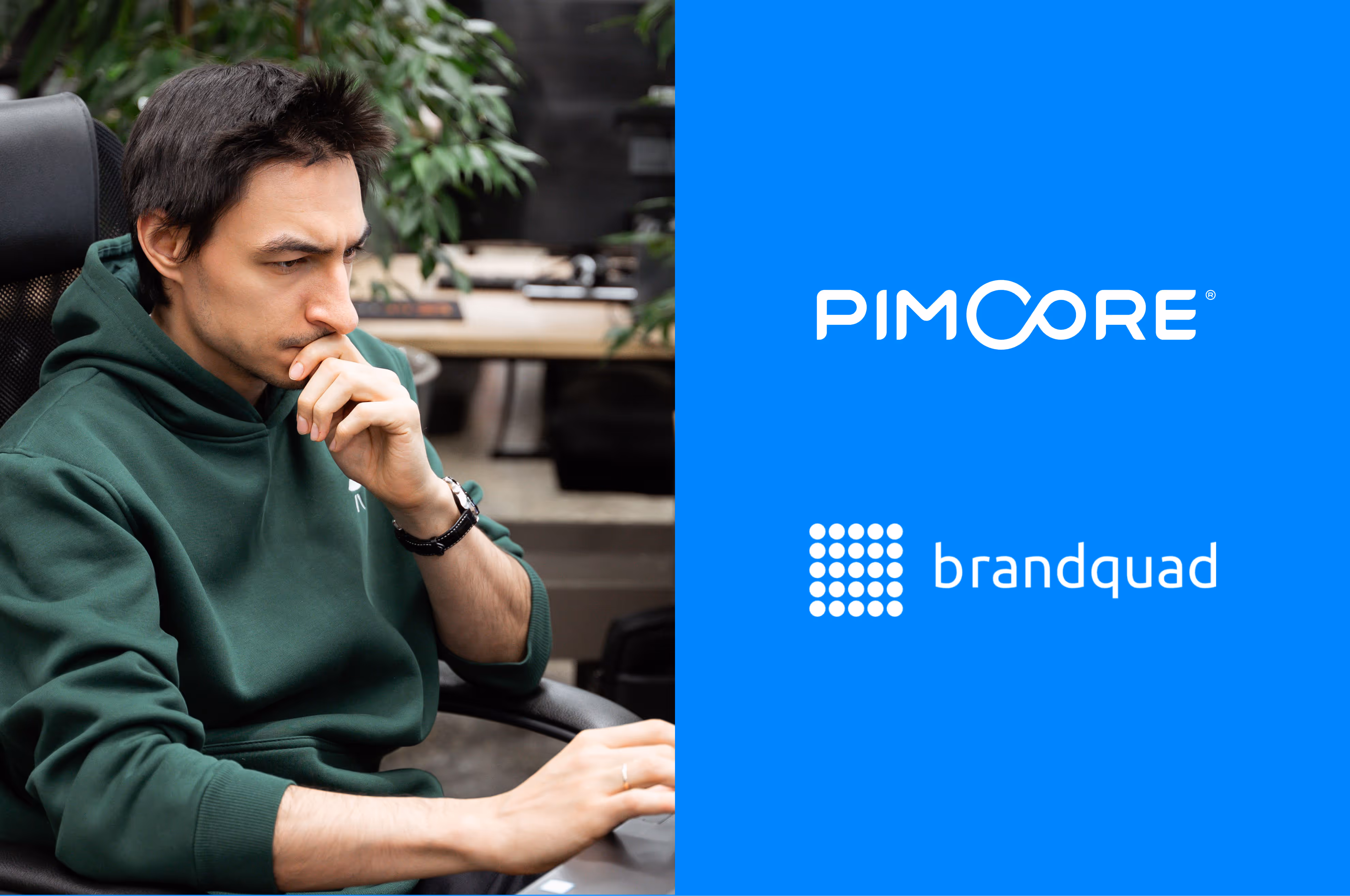 Сравнение Brandquad и Pimcore — популярных на российском рынке PIM-систем