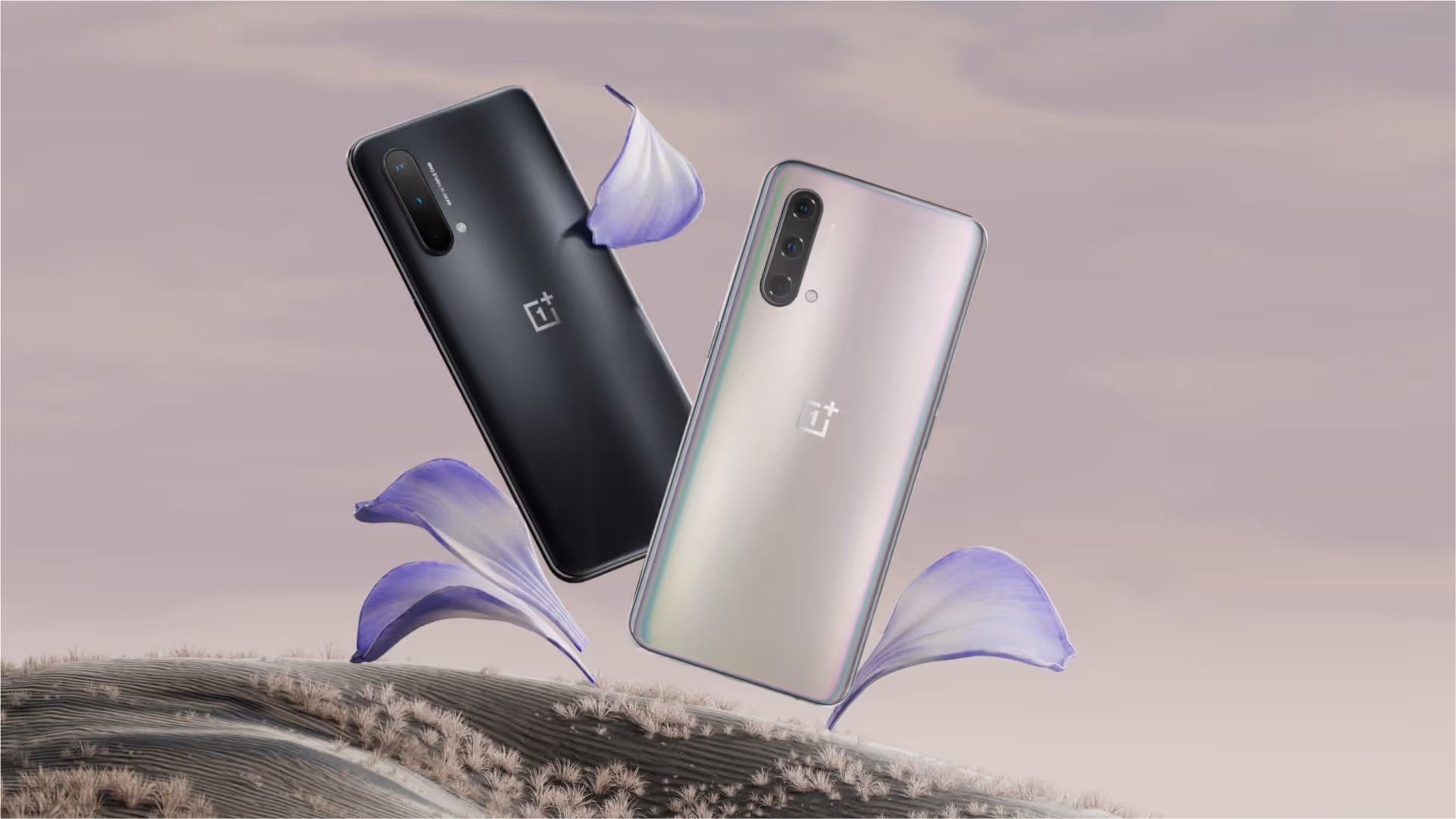 OnePlus devices in two colourways (light and dark) float in the air with flower petals.