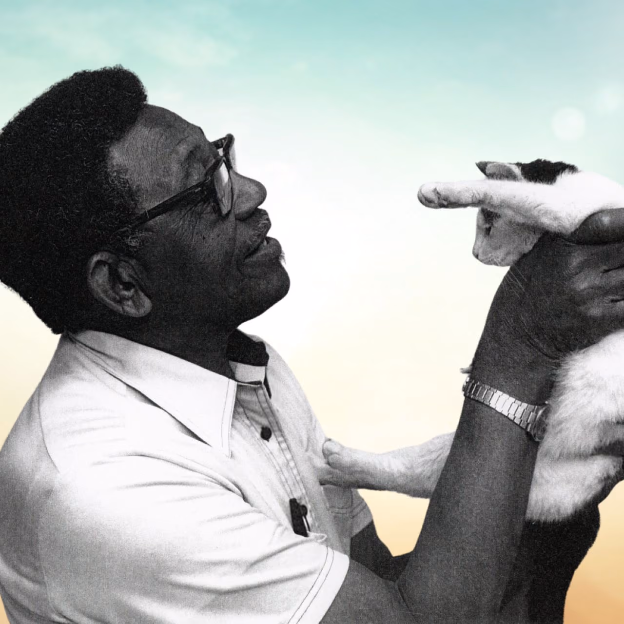 Dr. John Montgomery: Brighten the Corner Where You Are