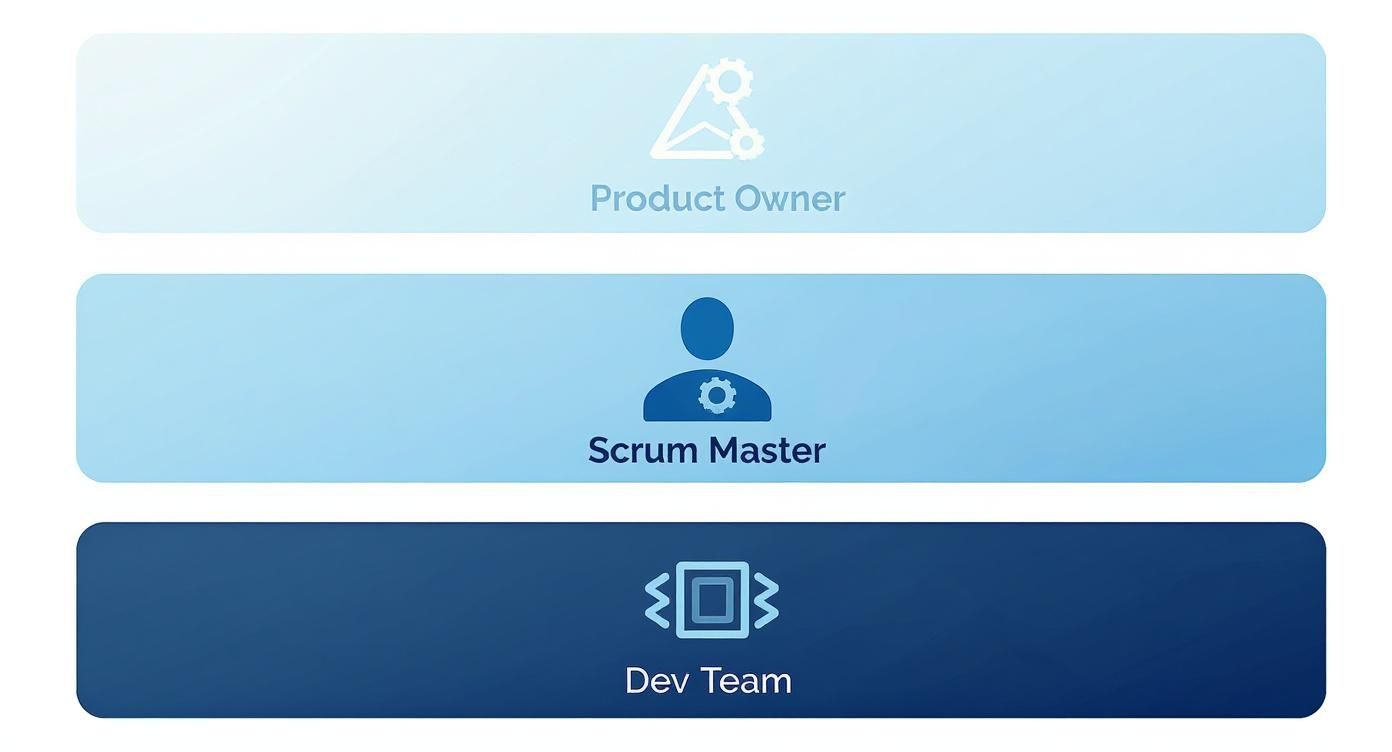 Three key roles in agile software development: Product Owner, Scrum Master, and Dev Team with icons