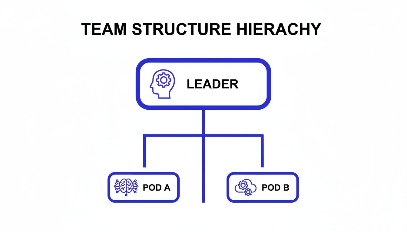 An organizational chart showing a team structure hierarchy with a leader overseeing two pods, Pod A and Pod B.