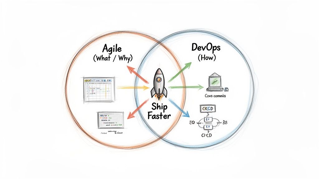 Venn diagram illustrating Agile and DevOps methodologies collaborating to Ship Faster with a rocket icon.