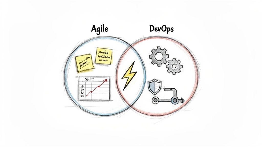 Venn diagram illustrating the relationship between Agile and DevOps, highlighting key concepts.