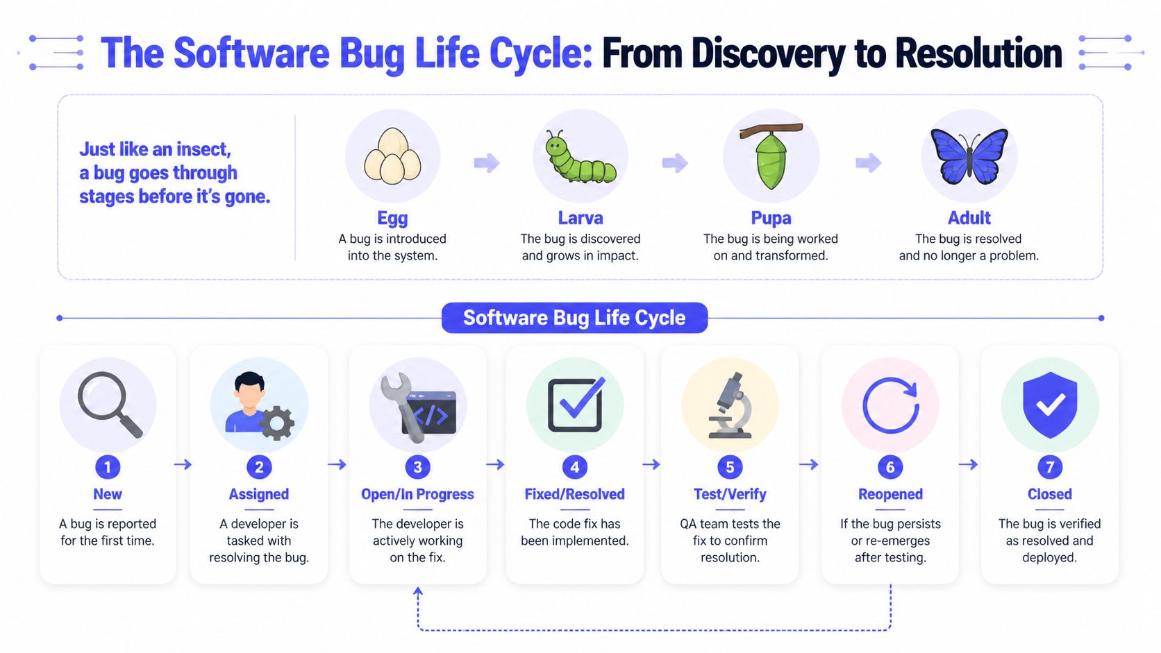 An infographic illustrating the stages of the software bug life cycle, from discovery to final resolution.