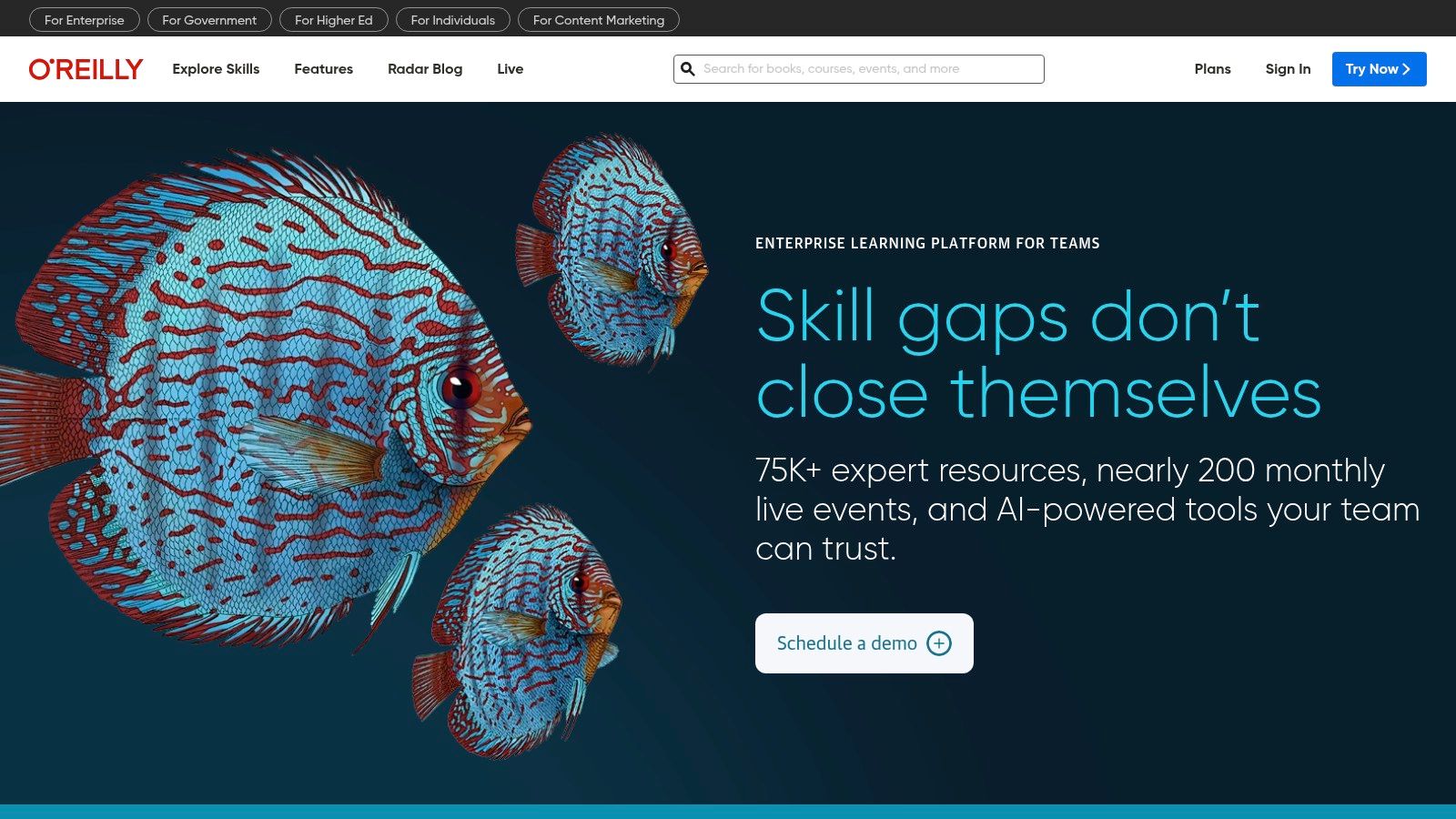 O'Reilly Learning (Teams/Enterprise)