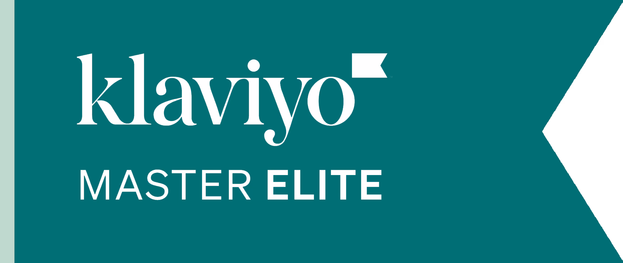 Klaviyo master Elite partner logo