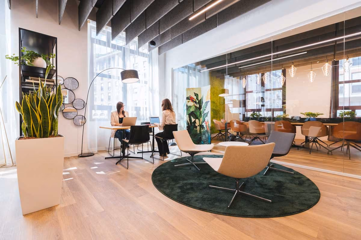 Dedicated team to grow your company