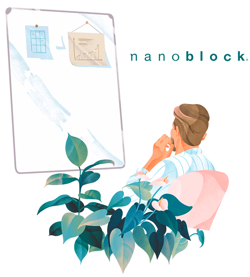 nanoblock