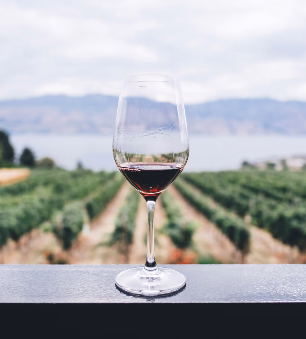 Wine Glass