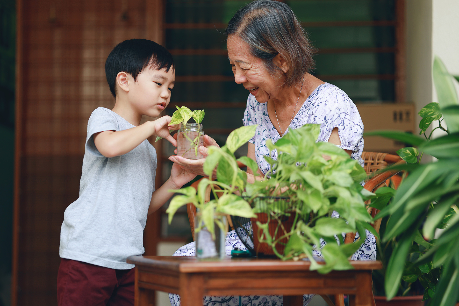 Plant the Seed Now to Age in Place Tomorrow