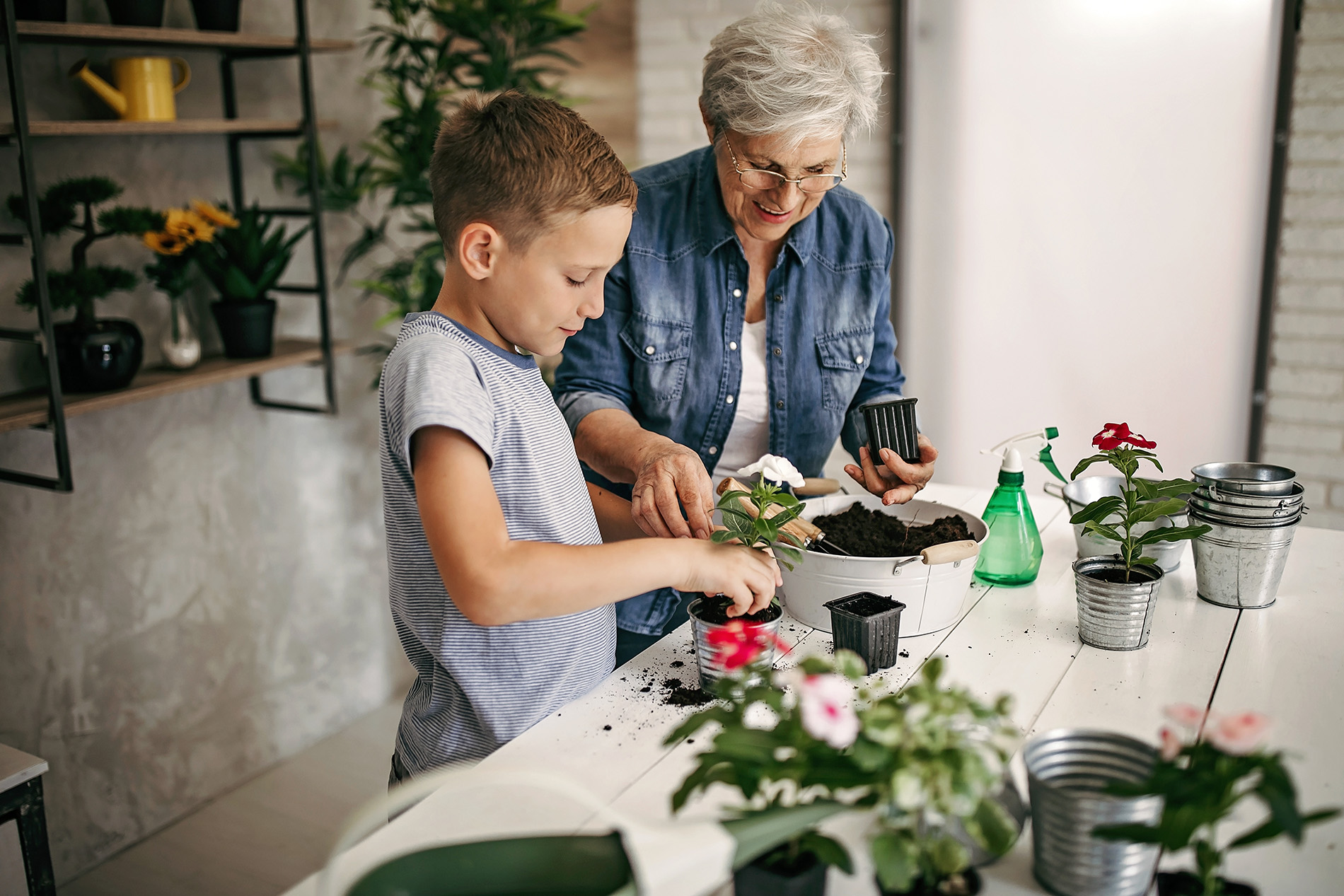 Thrive Where You Are