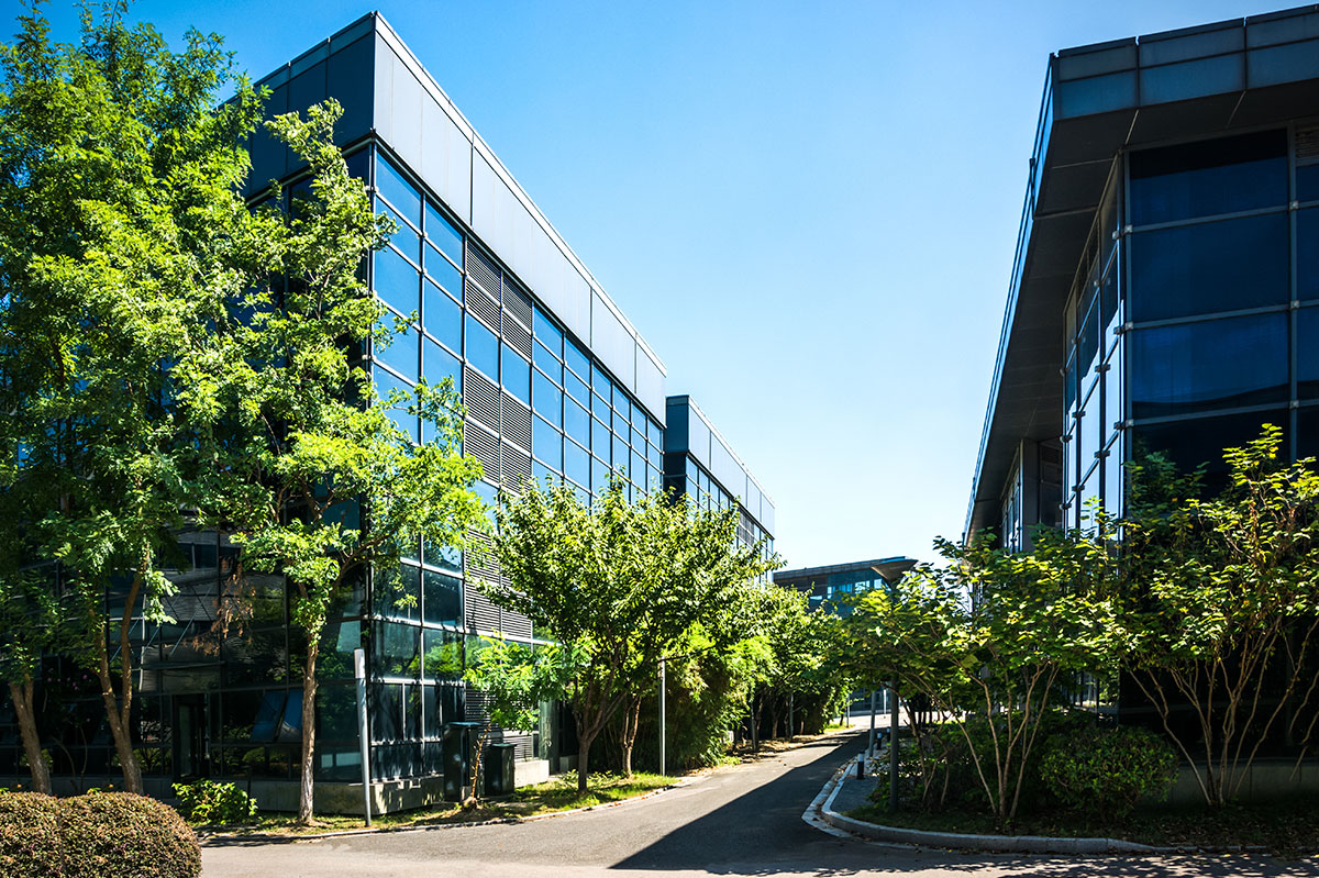 Bâtiments de bureaux modernes vitrés bordés d'arbres