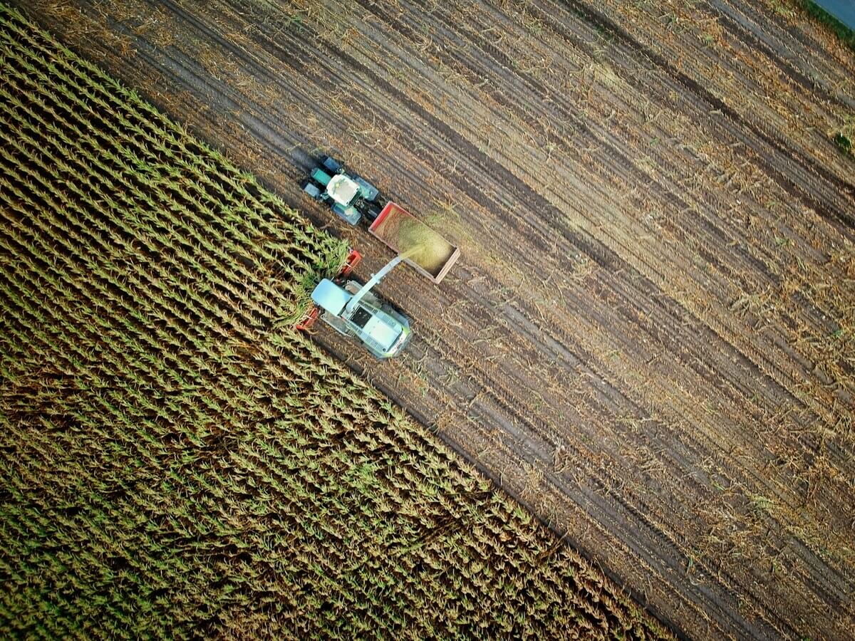 Vue aérienne d'un tracteur déchargeant la récolte dans une remorque