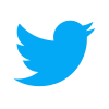Twitter Color Icon