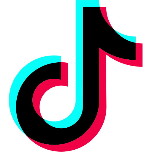 TicTok Color Icon