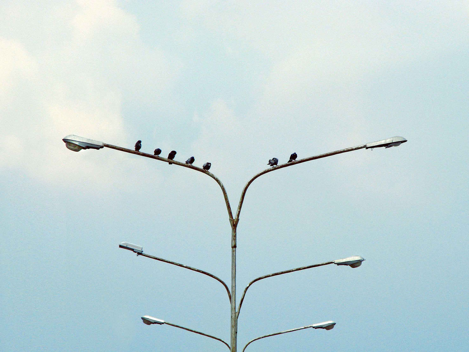 What Is Subgrouping in Group Therapy 