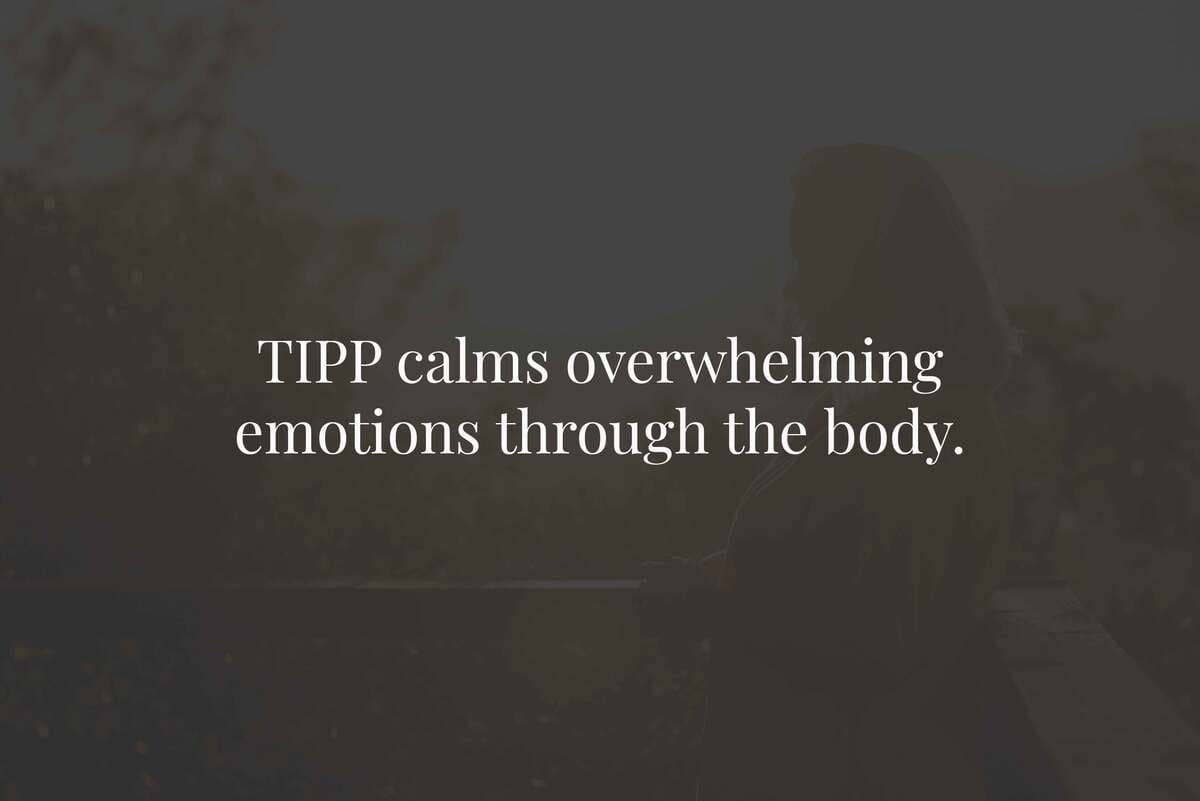 What Does TIPP Stand For