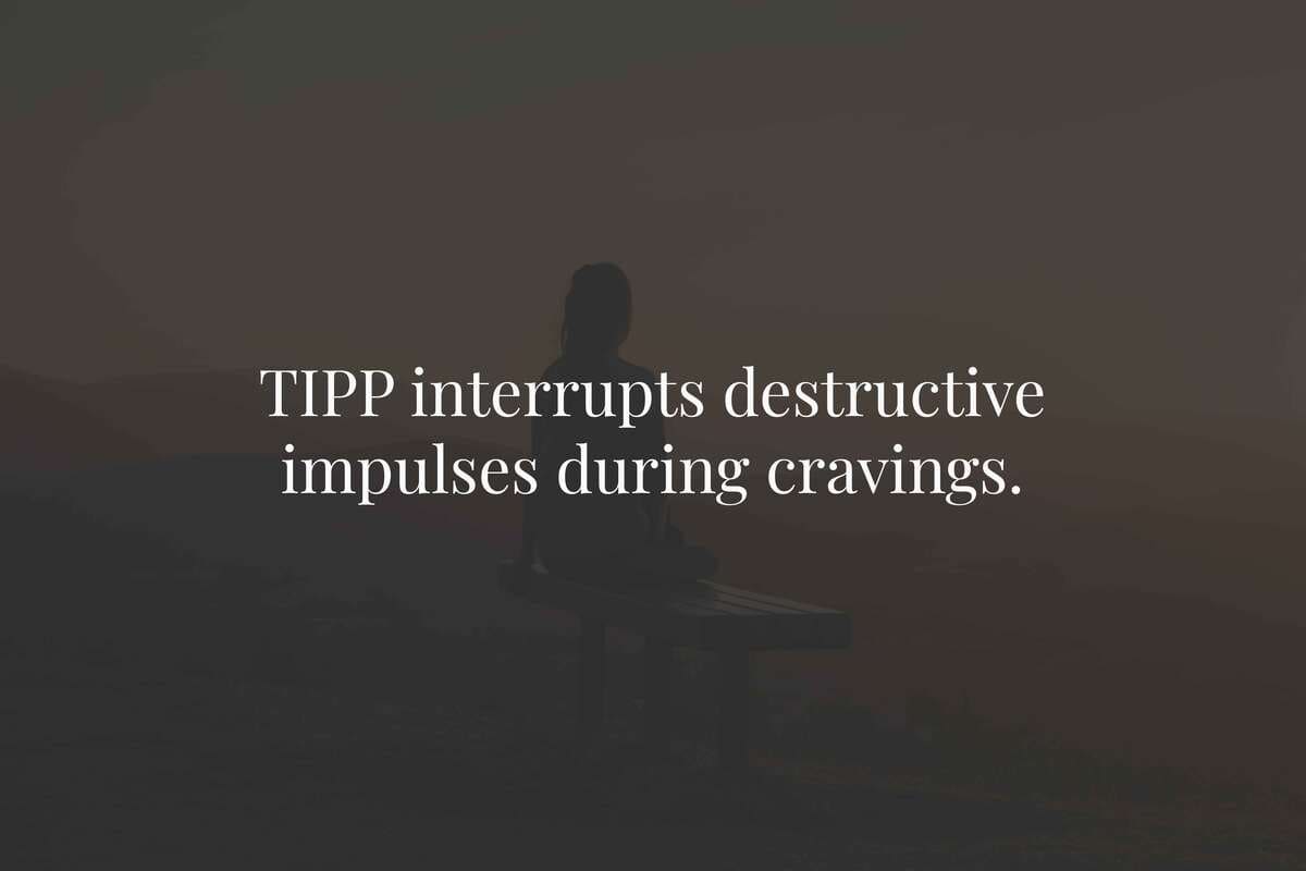 Why TIPP Matters in Recovery