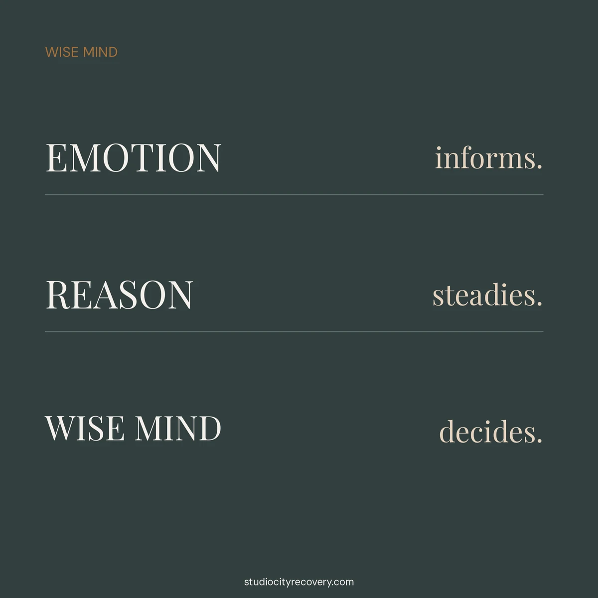 Wise mind uses emotion to inform, reason to steady, and integration to decide.