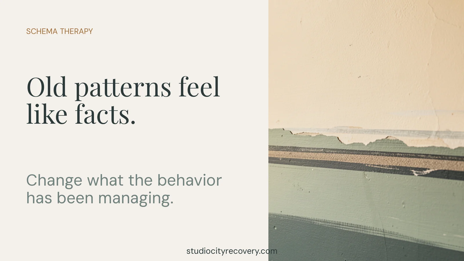 Schema therapy addresses old patterns that feel like facts and what addictive behavior has been managing.