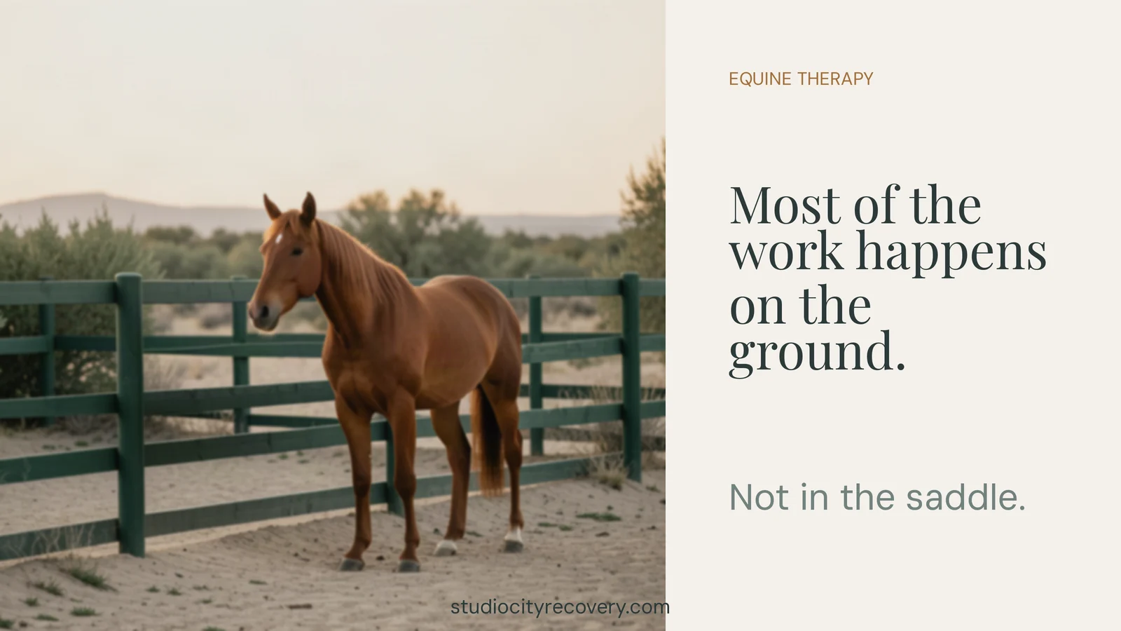 Most equine therapy in addiction treatment uses ground-based work rather than riding.