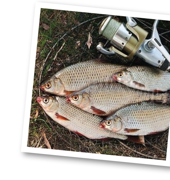 Retirement - JFelix v4 web-08