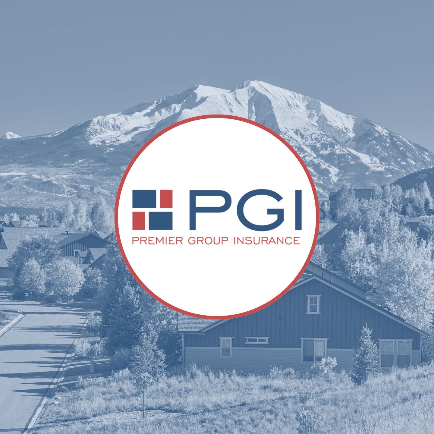 Premier Group Insurance + Canopy Connect