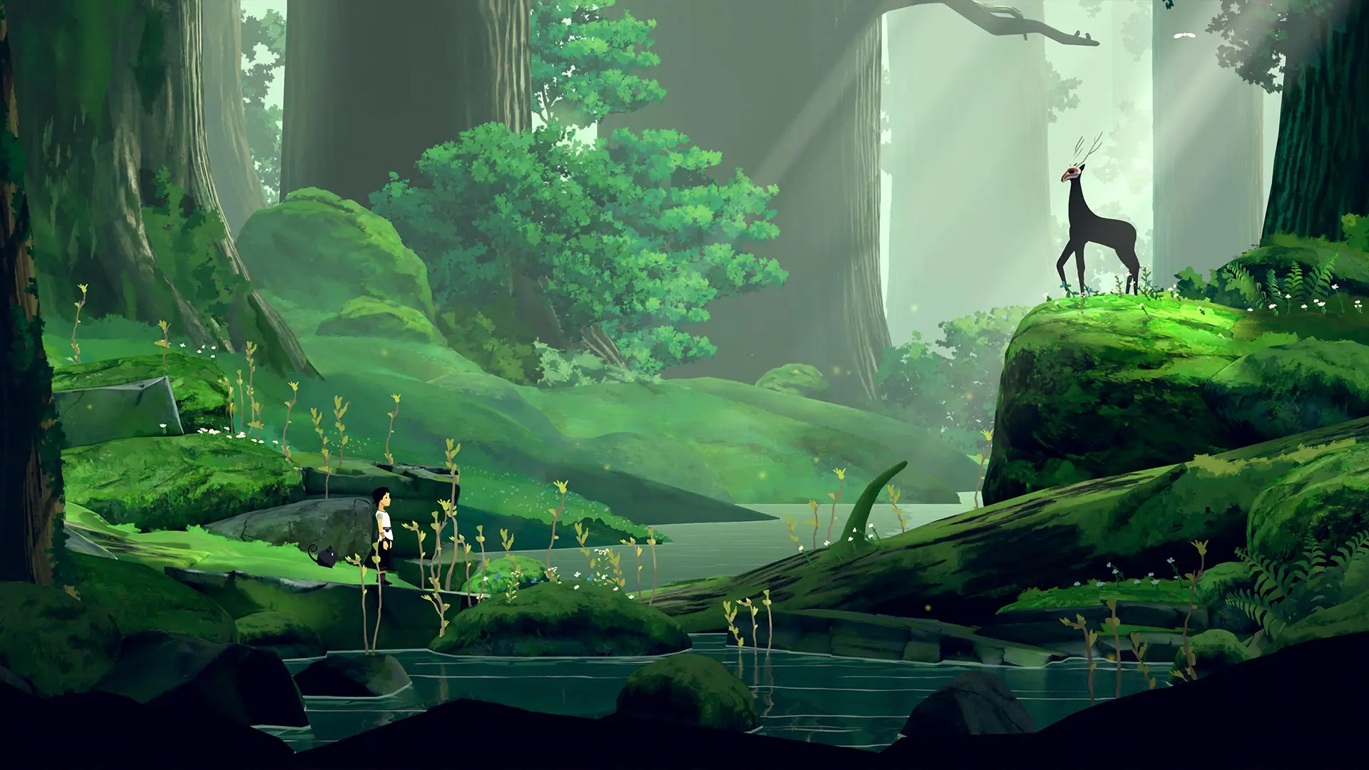 Lana explores a mysterious forest in search of ingredients to create a cure to a life-threating ailment.
