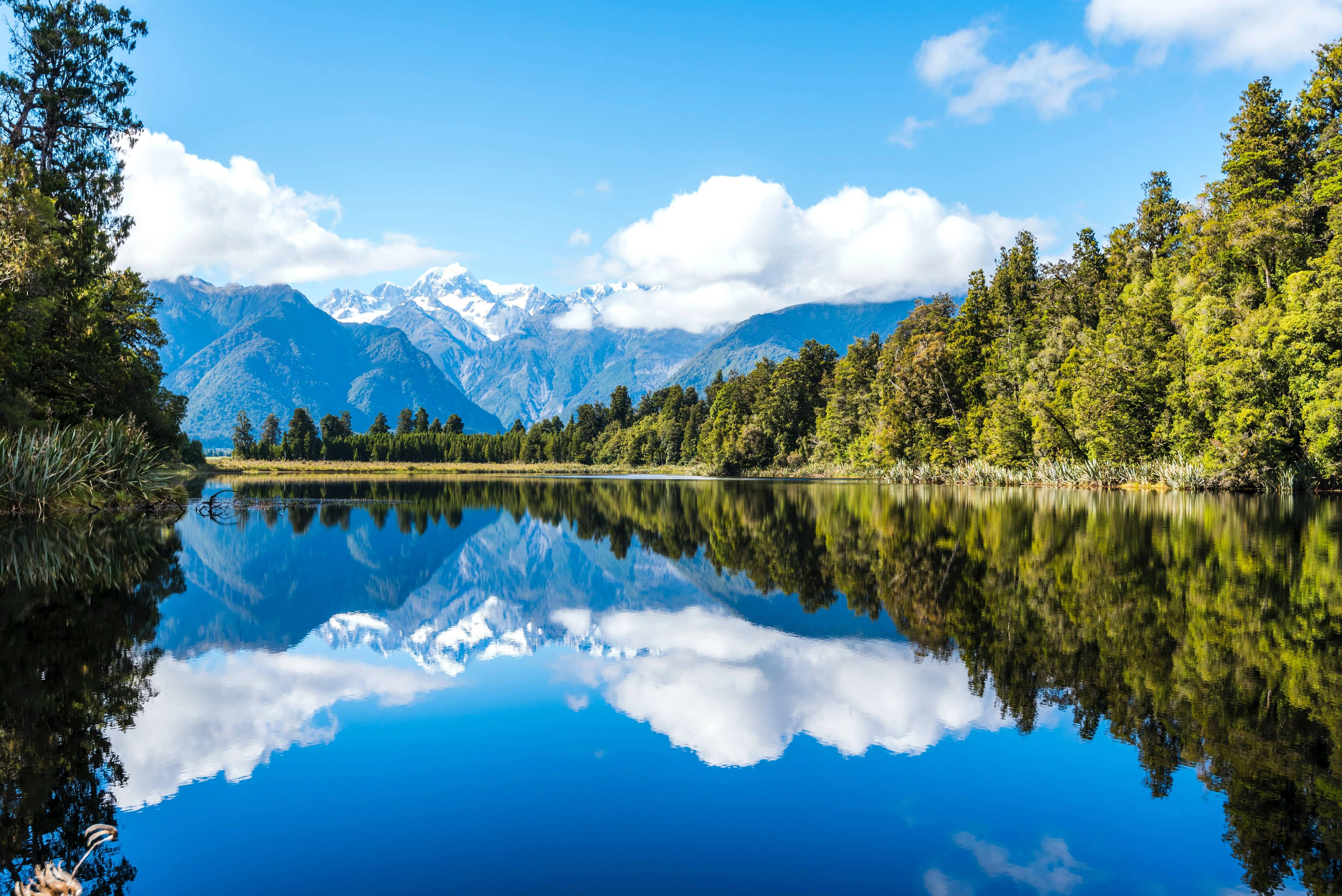 Forest and mountains surrounding a clear lake