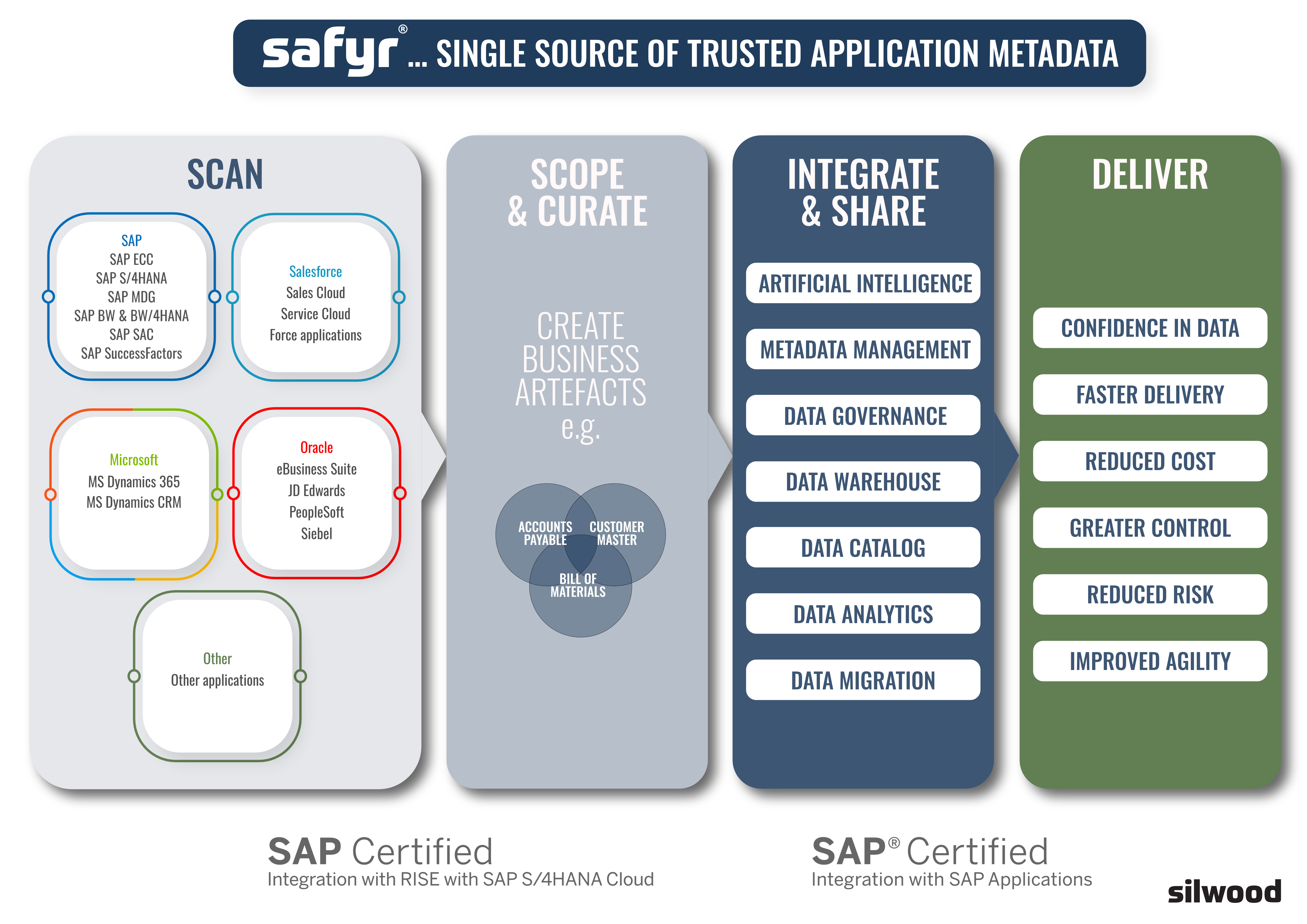 Safyr schematic infographic