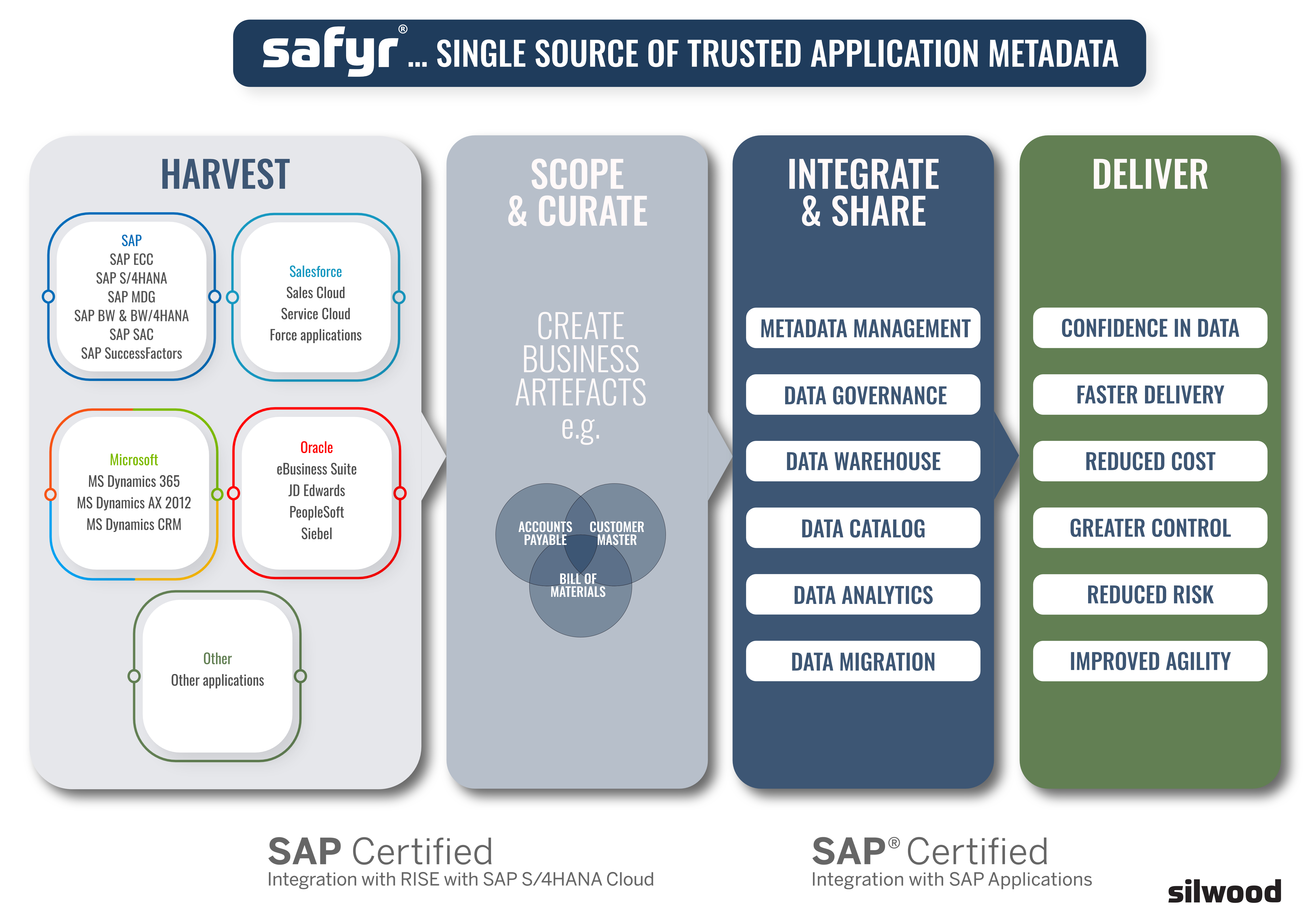 Safyr schematic infographic