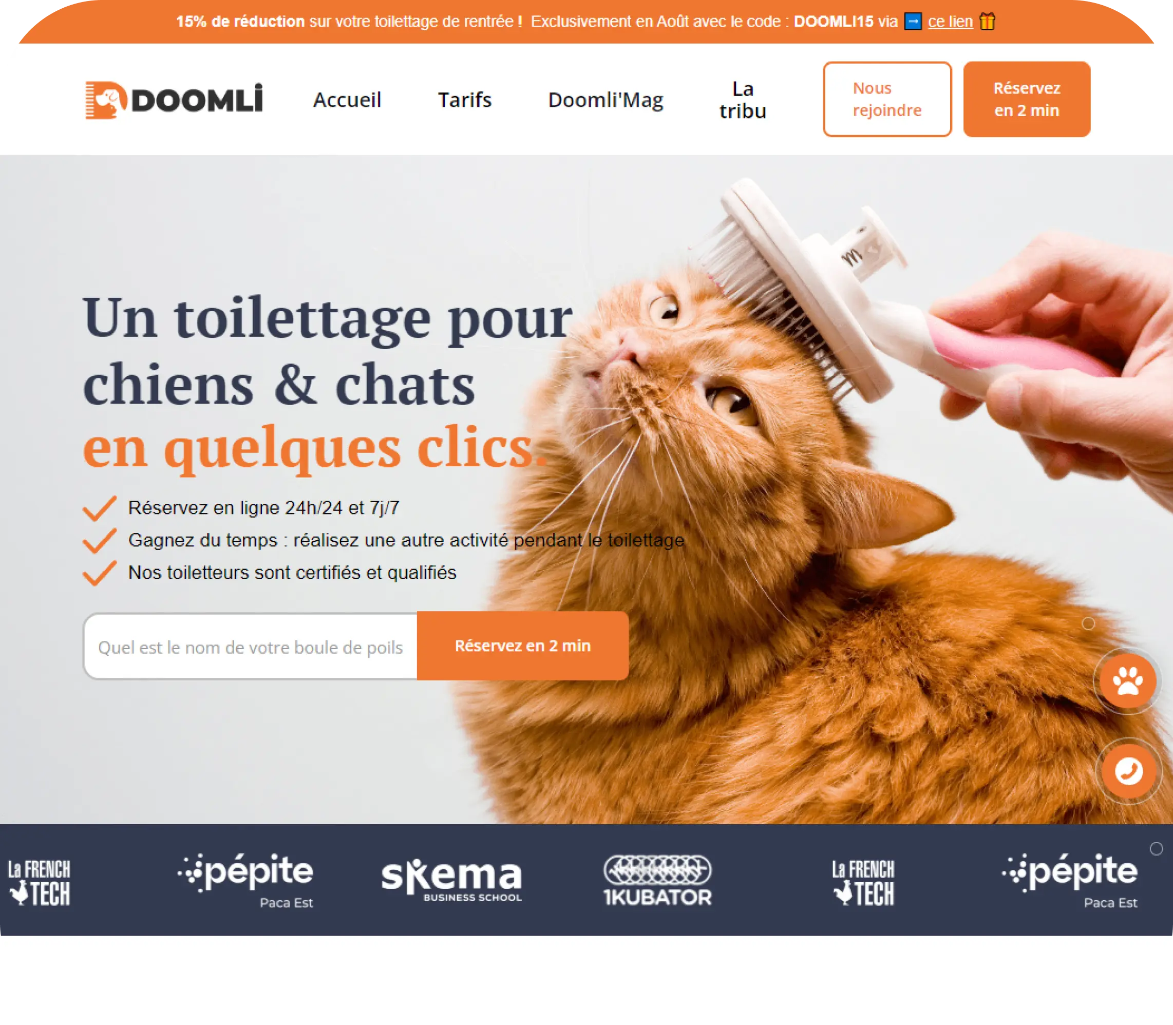 Interface Doomli