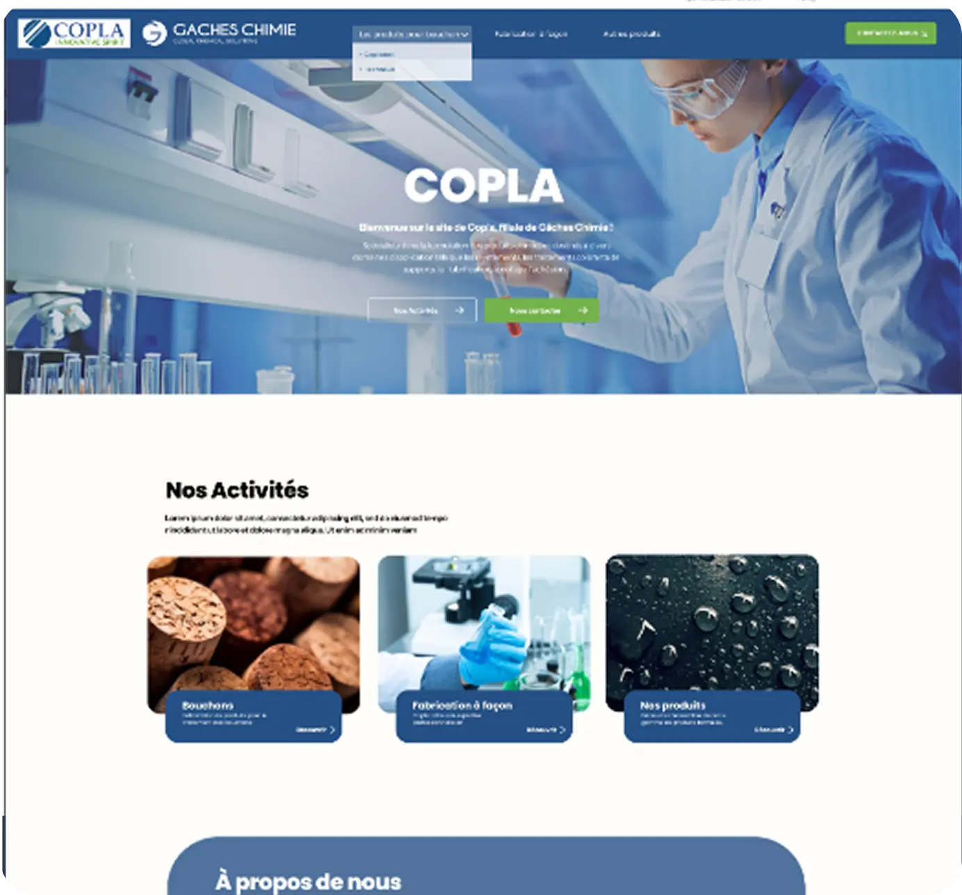 Interface Copla