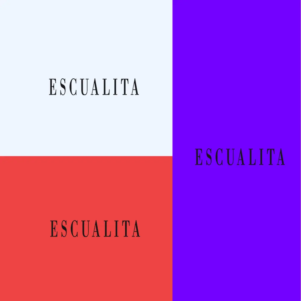 Charte Graphique Escualita