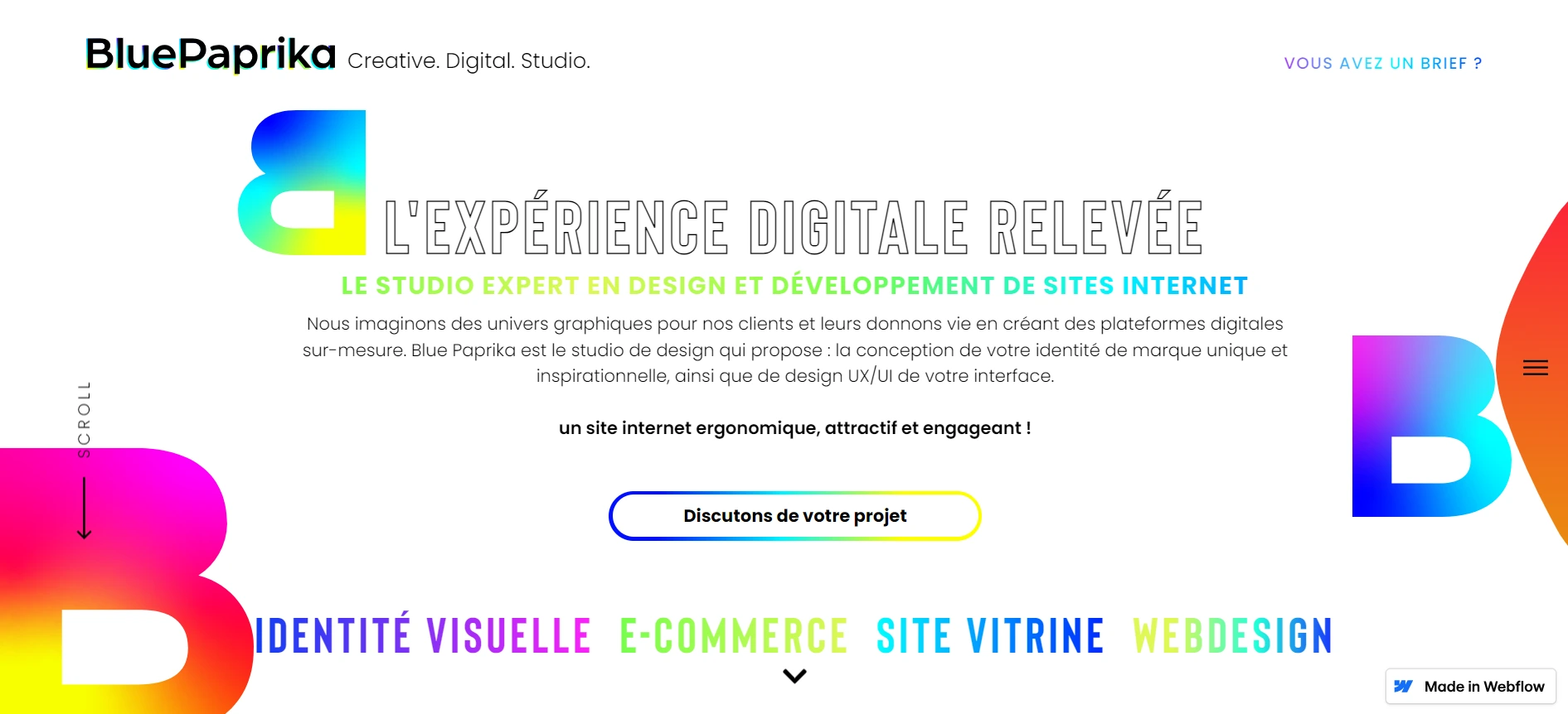 Home page BluePaprika