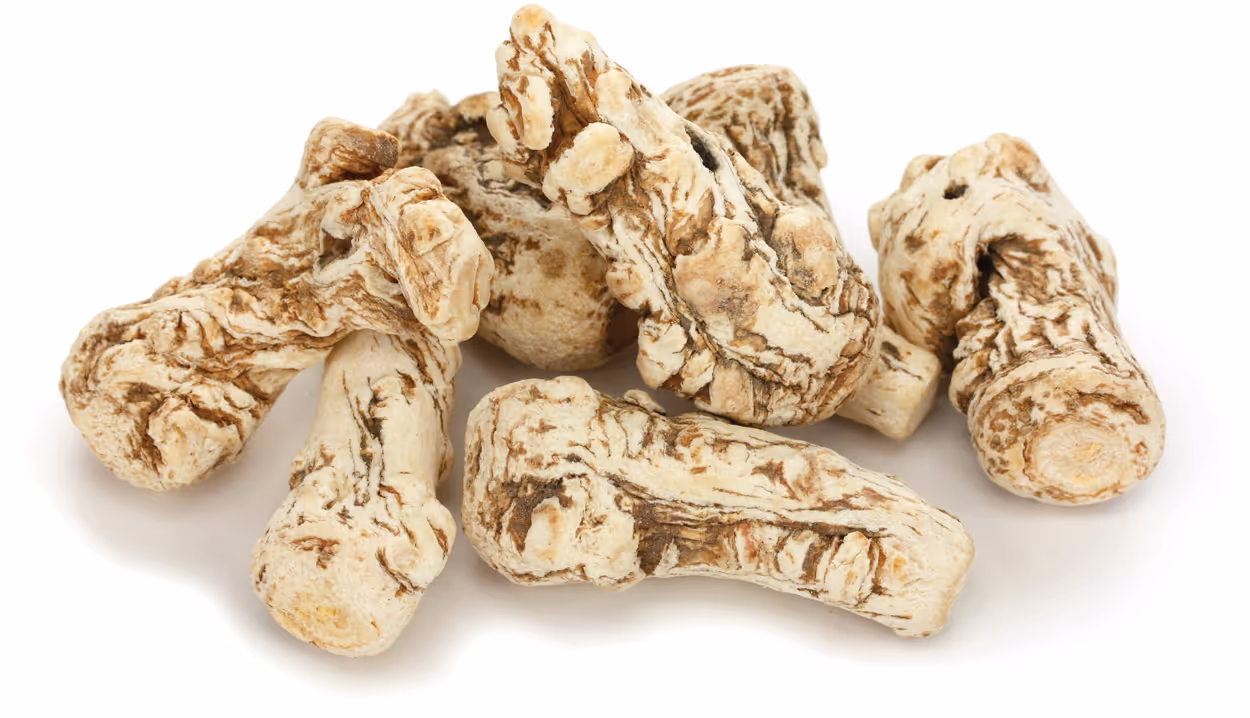 A cluster of Chinese Angelica Root (Dang Gui) against a white background
