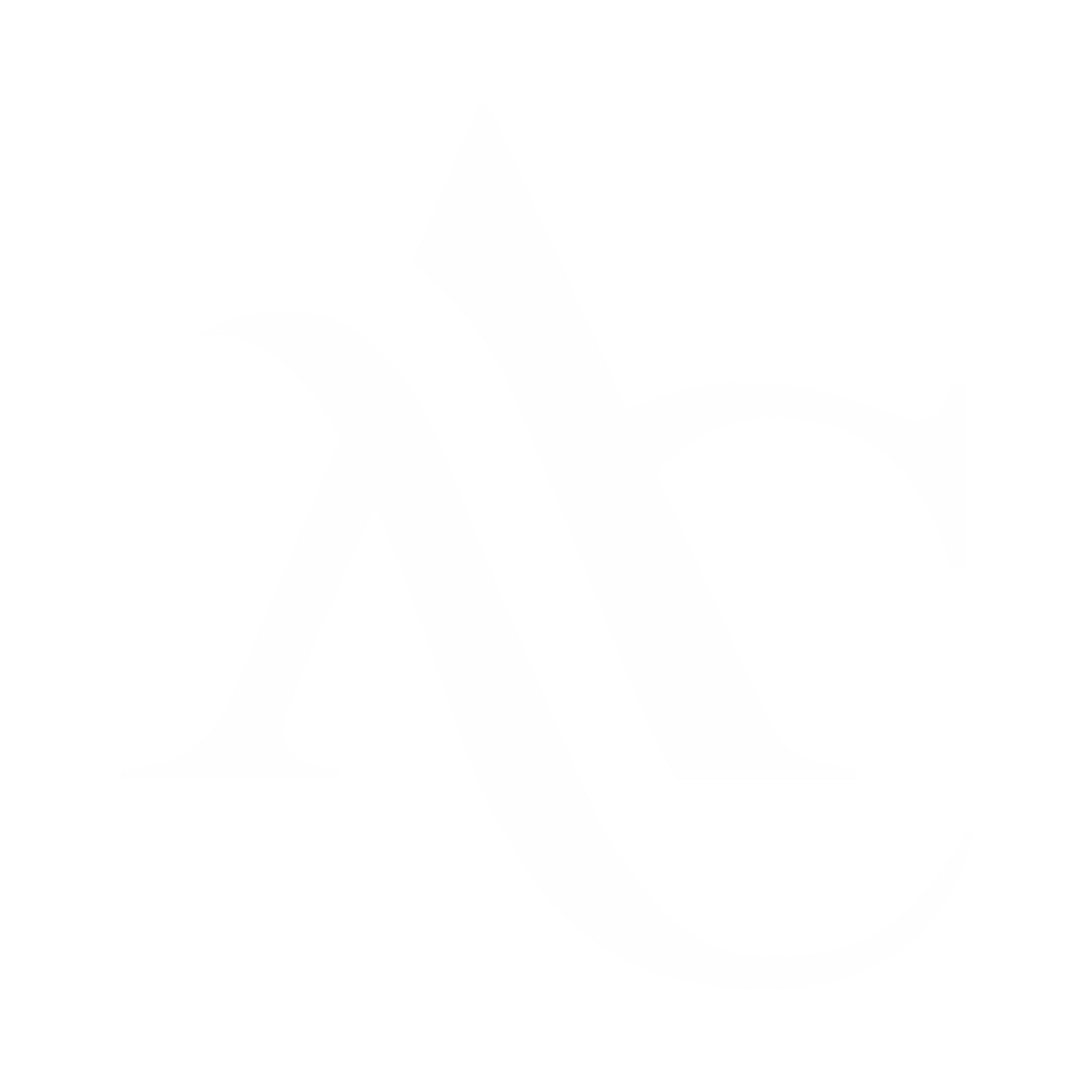 Arabic Consultant