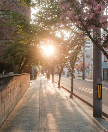 sunshine on the sidewalk; best hayden therapists