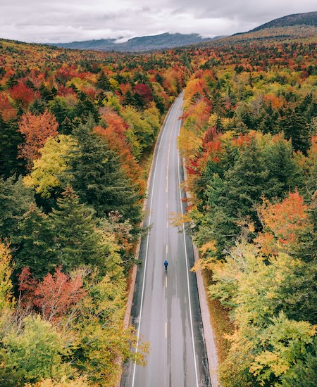 person walking on road through forest; best therapists in Manchester