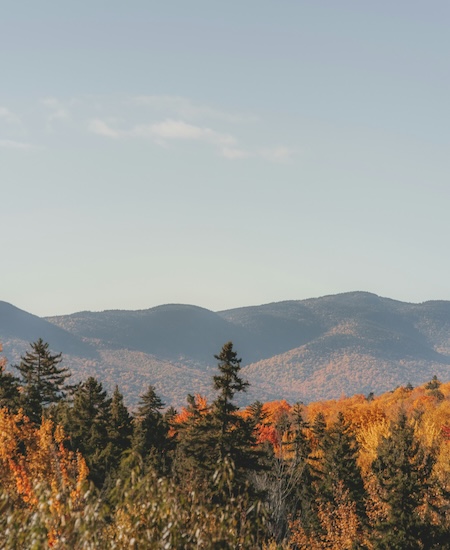 autumn forest with mountains in distance; best burlington therapists