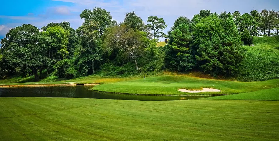 The Lavender Project's 4th Annual Golf Tournament