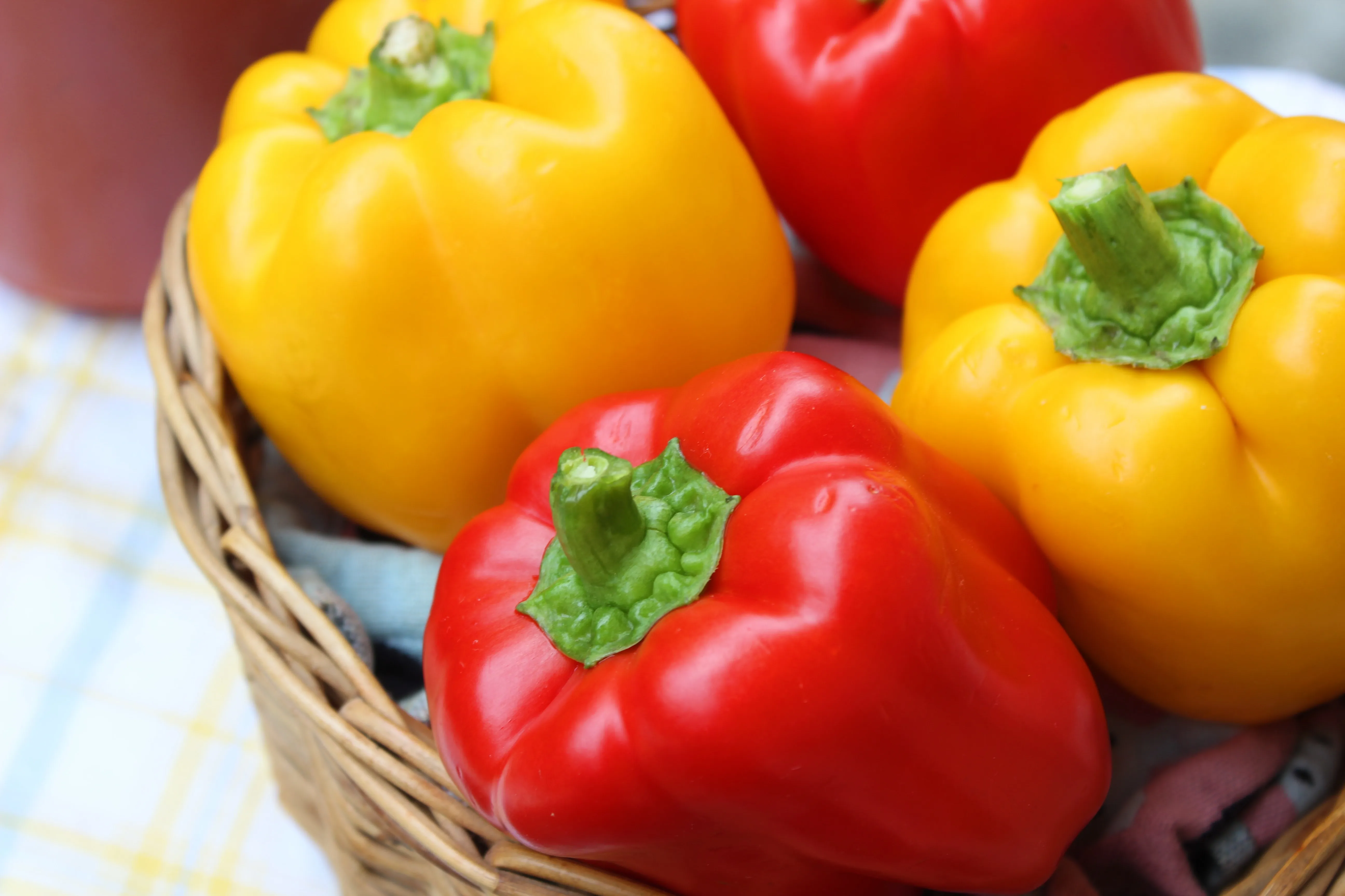 Fresh capsicums at Watts Fresh Kyneton