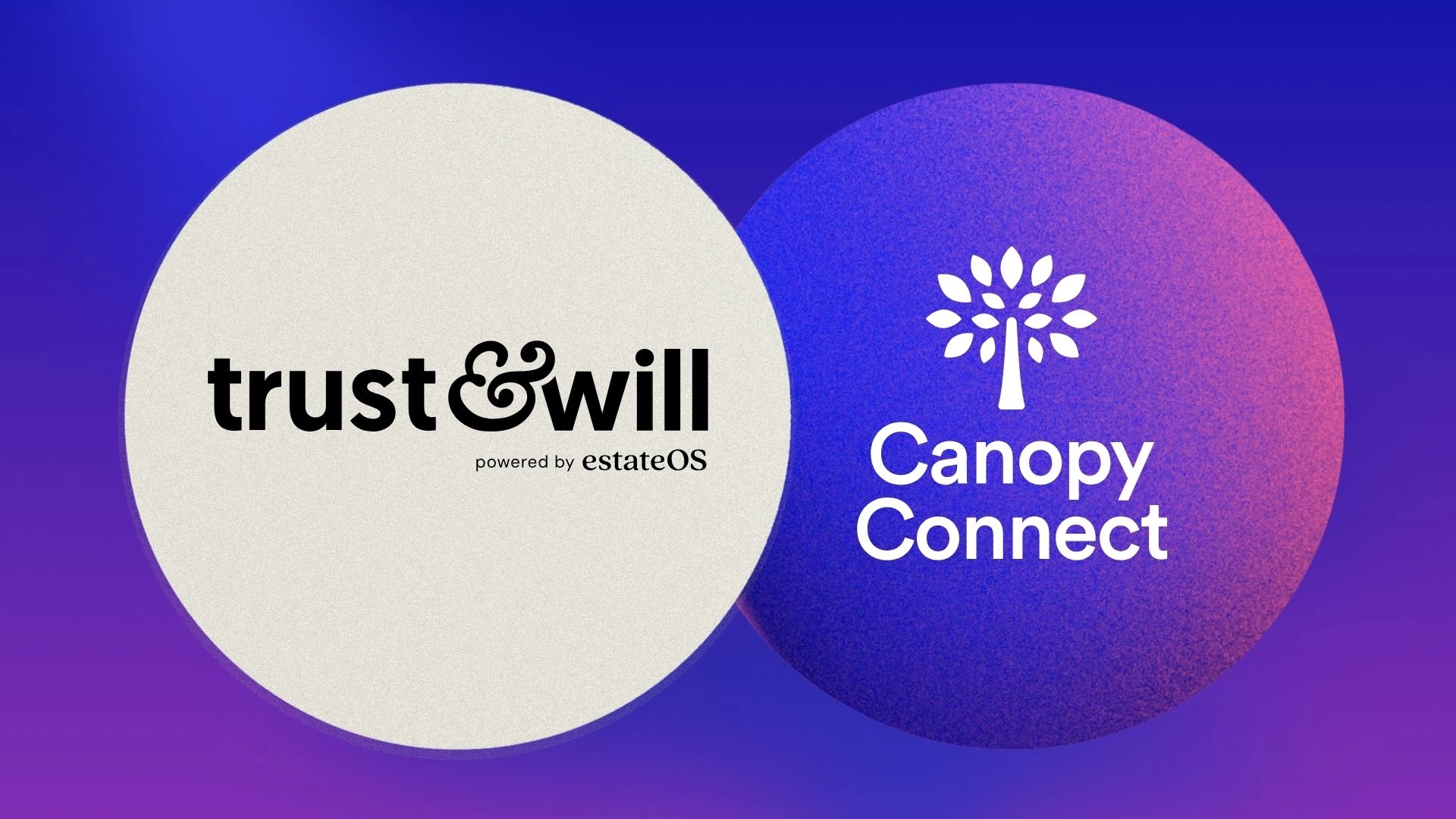 We're excited to announce our partnership with Trust & Will®, the leader in online estate planning, to bring verified insurance data directly into the estate planning process. This collaboration gives financial professionals a more complete view of assets, coverage, and beneficiaries as part of an estate plan.