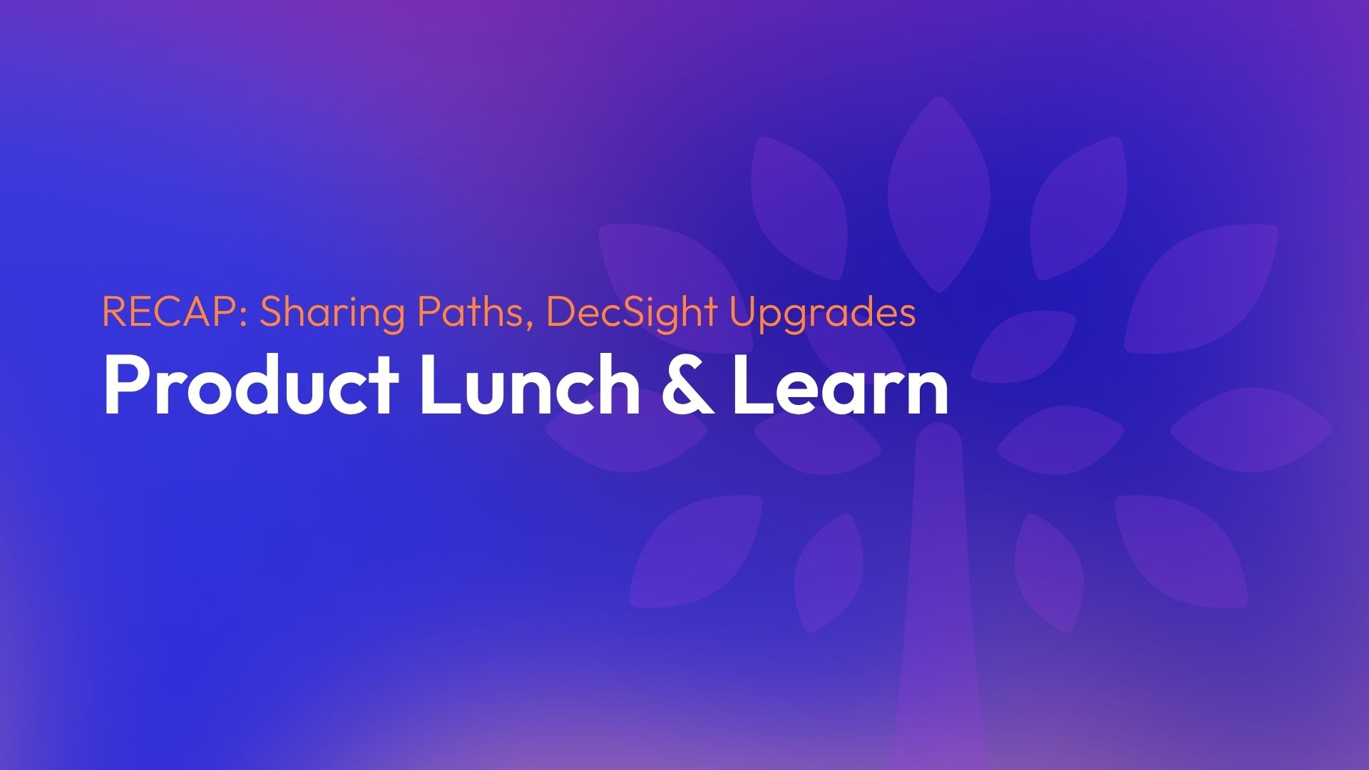 Recap of our first Canopy Connect Lunch and Learn: Sharing Paths, DecSight upgrades, integration updates, and answers to every question attendees asked. Next session: July 8th