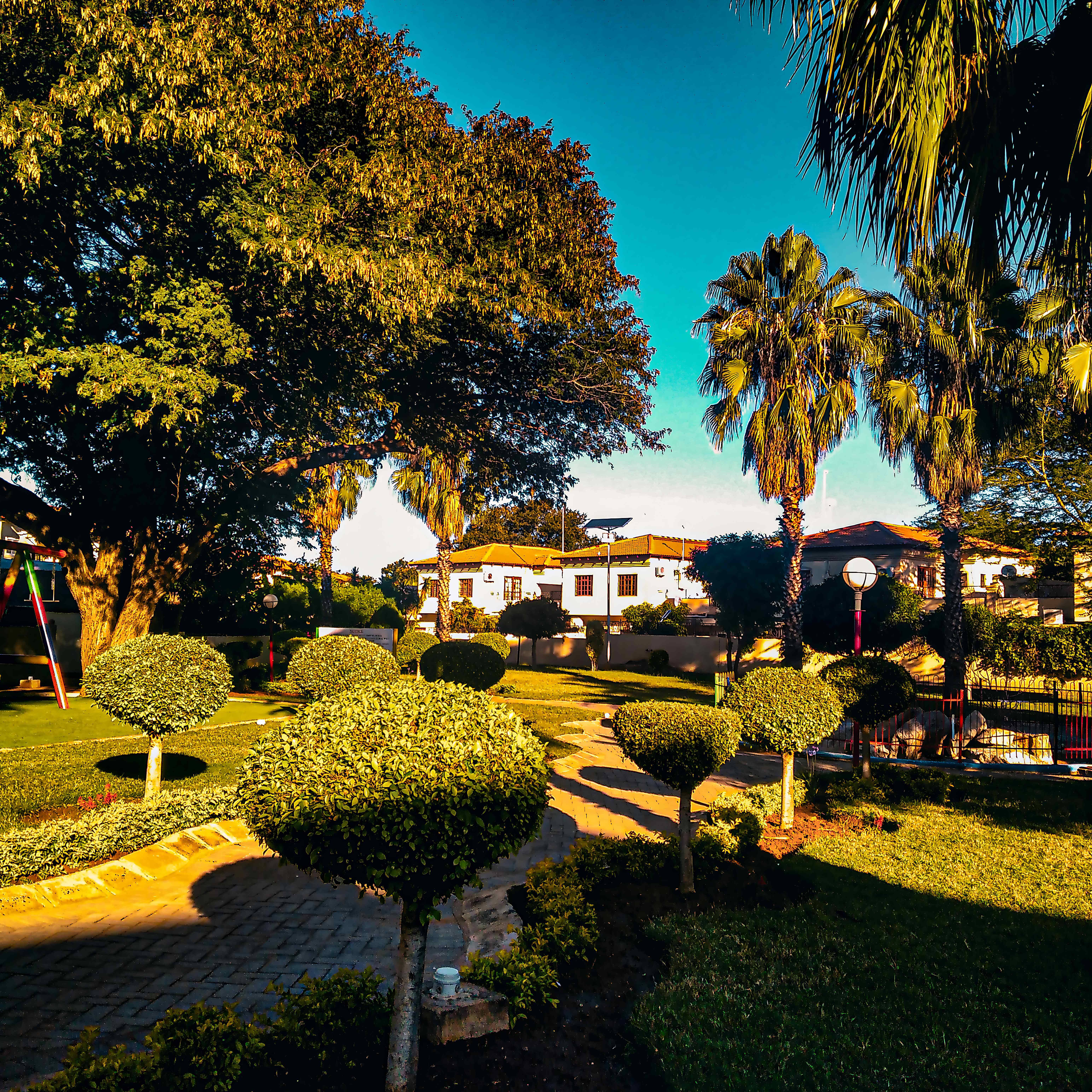Garden