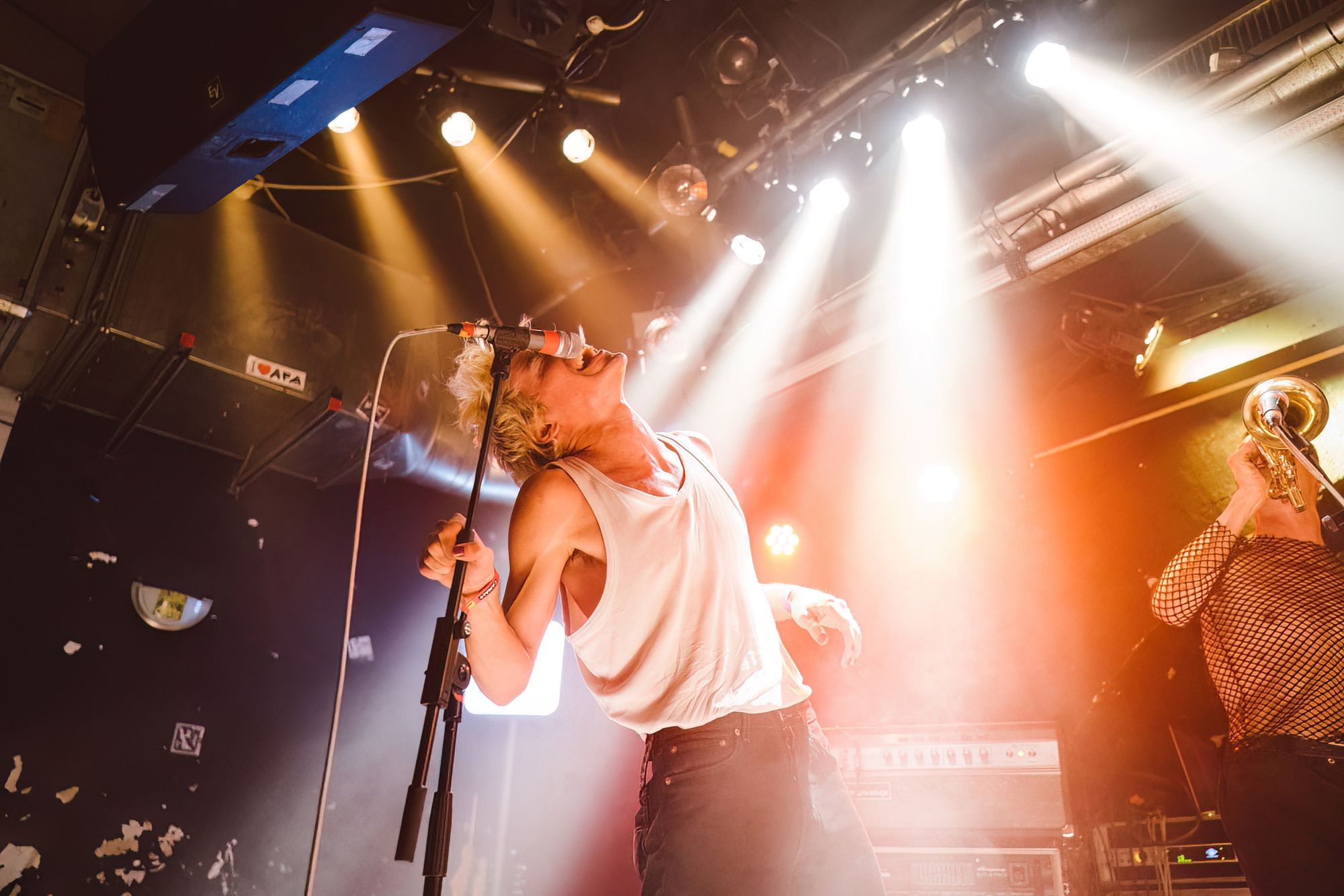 Waves Vienna Music Festival & Conference