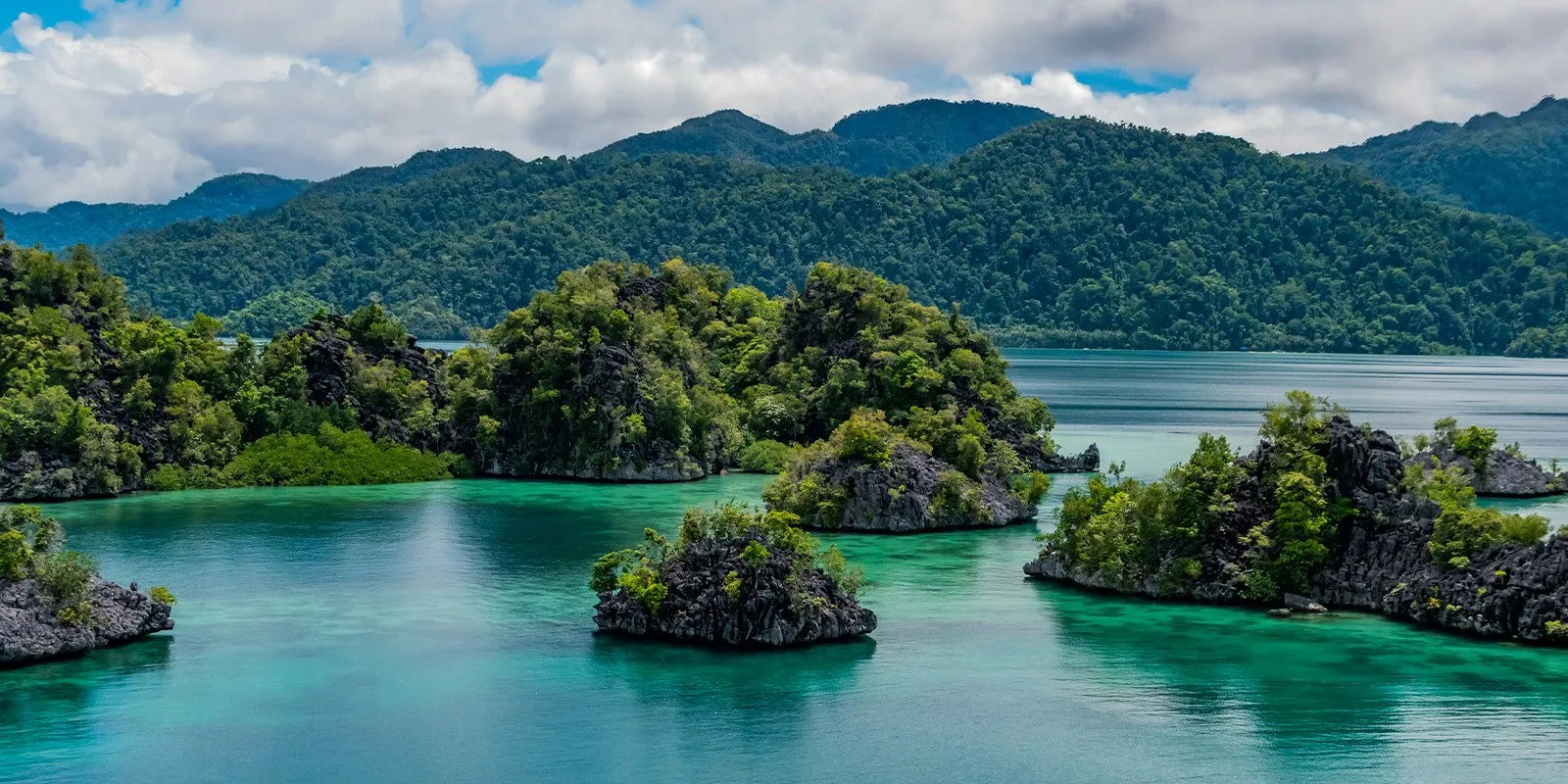 Celebes e Molucas