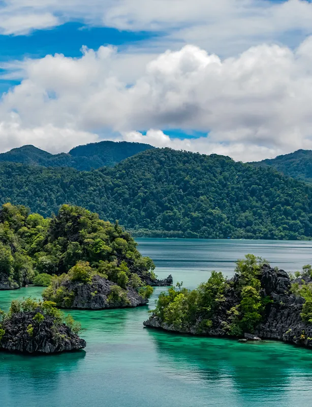 Celebes e Molucas