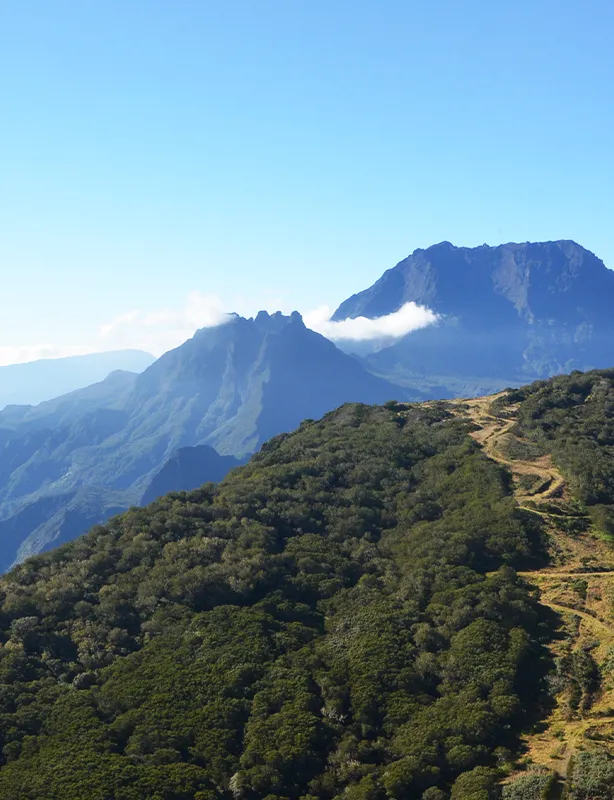 Ilha da Reunião