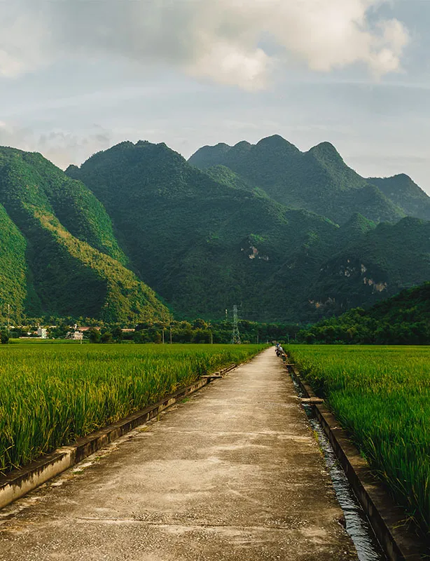 Mai Chau